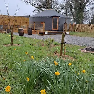 Tente de luxe The Snowdrop, Galway